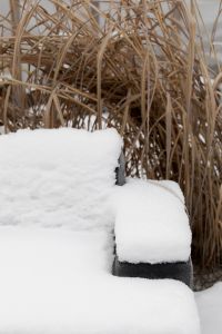 Kaboompics - Snow-Covered Garden Bench Beside Dried Grasses, Minimal Winter Outdoor Setting