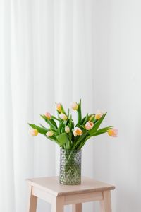 Kaboompics - Soft Tulips Against White Curtains for Minimal Spring Event Invitations