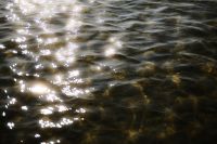 Kaboompics - Sunlit Ripples on Clear Shallow Water