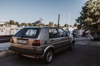 Kaboompics - Seagull on a car roof