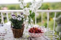 Kaboompics - Flowers and strawberries in a bowl
