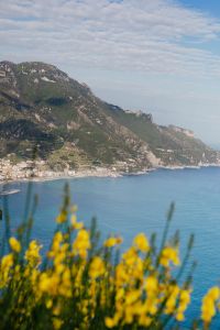 Kaboompics - Amalfi Coast Seascape with Yellow Wildflowers in Foreground