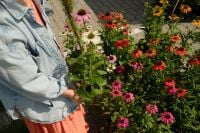 Kaboompics - Woman Shopping for Fresh Flowers