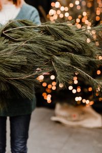 Kaboompics - The woman is holding pine branches in her hands