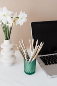 Kaboompics - White Flowers and Colored Pencils beside an Open Laptop