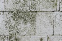 Kaboompics - Old brick and stone pavements