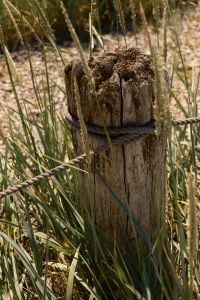 Kaboompics - Rustic Beach Post Coastal Aesthetic