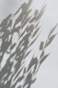 Kaboompics - Shadows on marble - background