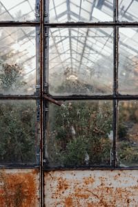 Moody Botanical Backgrounds with Dried Flowers and Greenhouse Glass