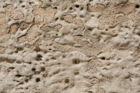Kaboompics - Porous Honeycomb Limestone Texture
