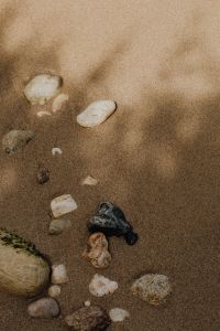 Kaboompics - Shells And Sea Stones On Wet Sandy Beach