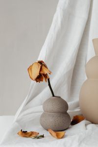 Kaboompics - Dried Rose in Speckled Vase Beside Oversized Beige Vase and Linen