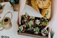 Kaboompics - Woman Carrying a Tray of Potted Succulents for Indoor Plant Styling