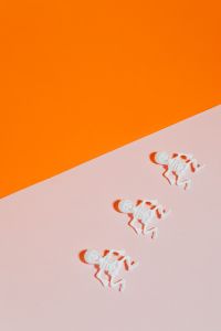 Kaboompics - Small Skeleton Figures on Orange and Pink Background