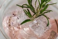 Kaboompics - Close-Up Pink Cocktail with Rosemary and Ice