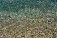 Kaboompics - Abstract Green Seawater and Pebbles with Reflective Ripple Texture