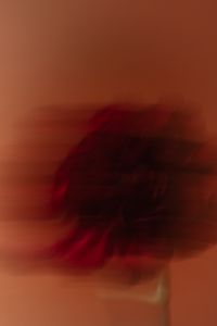 Kaboompics - Abstract Motion Blur Red Flower Photography