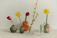 Kaboompics - Daffodils and Tulips in Colorful Vases for Spring Home Decor