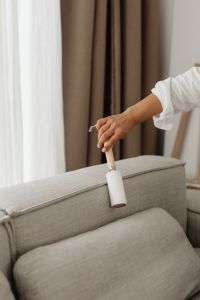 Kaboompics - Woman Using a Lint Roller on a Sofa Backrest