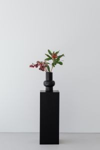 Kaboompics - Black Pedestal with a Vase of Protea and Burgundy Hellebores