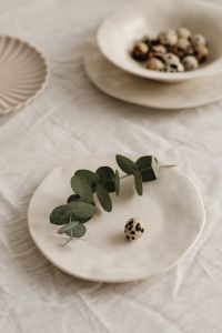Kaboompics - Eucalyptus Branch And Quail Egg On Linen Plate
