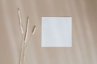 Kaboompics - Blank Card and Dried Grass with Minimal Color Palette