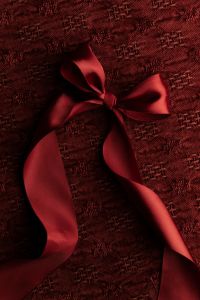 Kaboompics - Burgundy Satin Ribbon Bow on Dark Red Textile