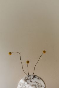 Kaboompics - Dried flowers stems in round marble vase