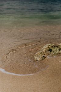 Kaboompics - Mossy Rock In Shallow Sea Water On Sandy Beach
