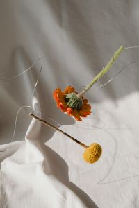Kaboompics - Abstract Flower Arrangement on a Light Fabric Background