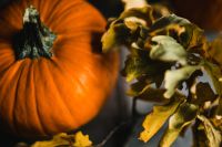 Kaboompics - Autumn Pumpkin