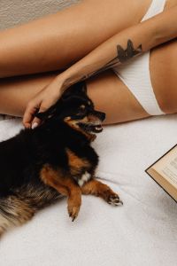 Kaboompics - Small Dog Being Petted Beside a Woman Relaxing on a Beach Towel
