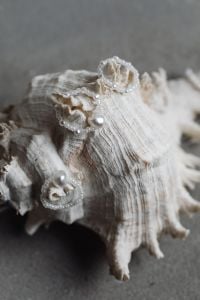 Kaboompics - Pearl and white bead rings on large shell - jewelry - pearl trend