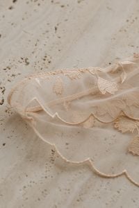 Kaboompics - Delicate Beige Lace Panties on Light Background