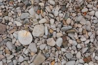 Kaboompics - Natural Smooth Pebble Beach Texture in Soft Gray and Beige Tones
