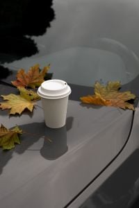 Kaboompics - Takeaway Coffee Cup With Autumn Leaves on a Wet Car
