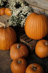Kaboompics - Large Orange Pumpkin and White Chrysanthemums on Rustic Wood