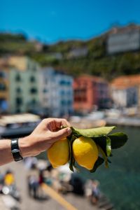 Kaboompics - Fresh Lemons with Blurred Waterfront Buildings