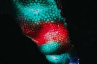 Kaboompics - Abstract Red and Turquoise Exhibition Light Installation with Repeating Glowing Circles