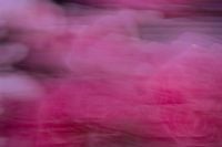 Kaboompics - Abstract Pink Flower Motion Blur Background