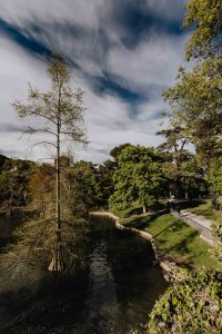 Kaboompics - The Buen Retiro Park in Madrid, Spain