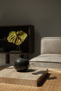 Kaboompics - Warm Minimalist Living Room with Anthurium and Travertine Coffee Table
