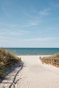 Kaboompics - Sandy Path Through Coastal Dunes to the Baltic Sea, Summer Beach Landscape