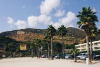 Kaboompics - Palm trees in Spain
