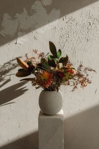 Kaboompics - Sunlit Colorful Floral Arrangement Against Textured Plaster Wall