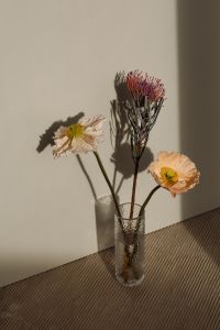 Kaboompics - Floral Still Life with White Fabric Folds