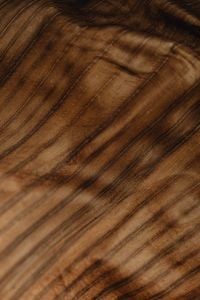 Kaboompics - Close-Up of Diagonal Veins on a Dried Banana Leaf