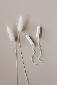 Kaboompics - Two Tampons and Dried Grass Plumes on Neutral Background, Vertical Still Life