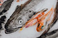 Kaboompics - Whole Fish Displayed on Ice at San Miguel Market