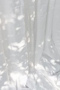 Kaboompics - Pantone 2026 White Curtains with Natural Leaf Shadows